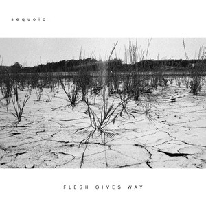 Flesh Gives Way by sequoia.