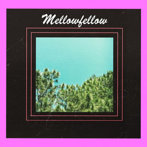 Don't Leave Me Today by Kyo, Mellow Fellow, Kyo-2