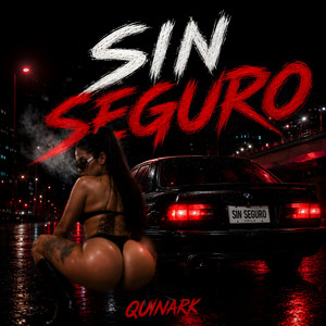 Sin Seguro by quinark