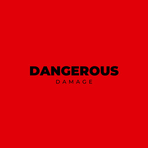 DANGEROUS by DAMAGE