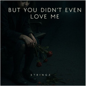 But You Didn't Even Love Me by Stringz