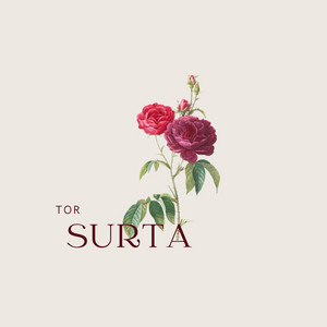 TOR SURTA by Kartist, Kanchan Joshi, SNNY