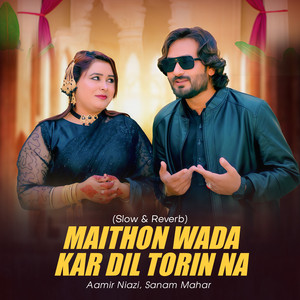Aamir Niazi & Sanam Mahar - Maithon Wada Kar Dil Torin Na (Slow & Reverb)