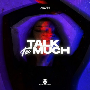 Talk Too Much by A17N