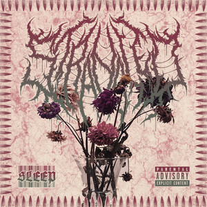 Sleep by Strangled