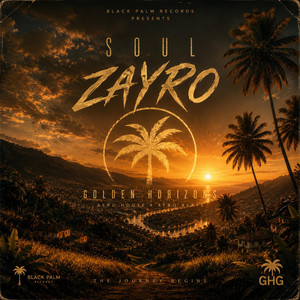 THE NIGHT IS OVER by ZAYRO SOL