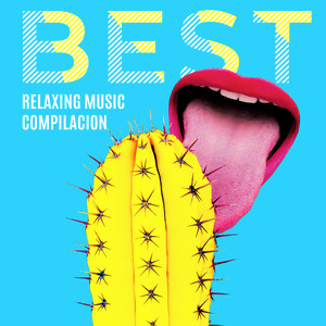 Best Relaxing Music Compilacion: Peace of Mind and Healing Moment with New Age Sounds album