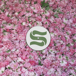 Step By Step Remixes cover art