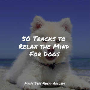 50 Tracks to Relax the Mind For Dogs album