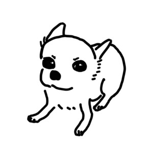 Giorno the Chihuahua - Chihuahua Song