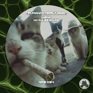 FUMANDO MARIJUANA by KØDA, NO RULES SOUND