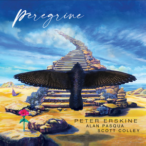 album cover: Peregrine