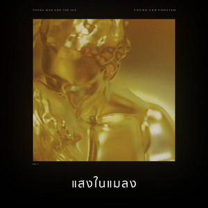แสงในแมลง (Firefly) by Young Man and the Sea