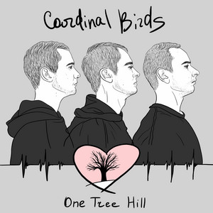 Cardinal Birds — One Tree Hill