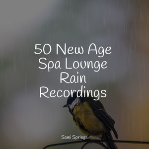 50 New Age Spa Lounge Rain Recordings album
