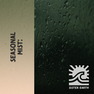 zZz Seasonal Mist: Rain & Thunder Surrounding the Marsh zZz album