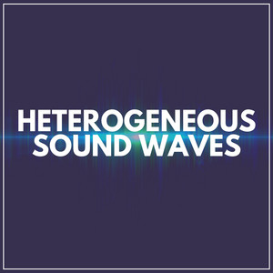 Heterogeneous Sound Waves album