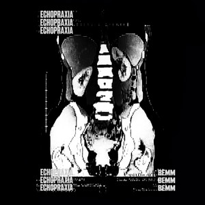 ECHOPRAXIA by BEMM