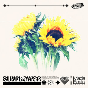 Sun Flower by Radiostatic
