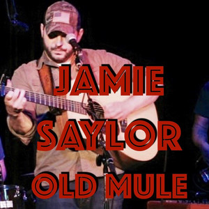 Old Mule by Jamie Saylor