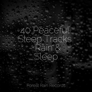 40 Peaceful Sleep Tracks - Rain & Sleep album