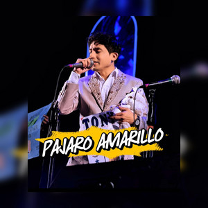 Pajaro Amarillo