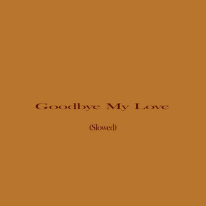 Goodbye My Love - Slowed by Dardhat