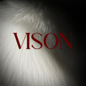 VISON by G-Kyll