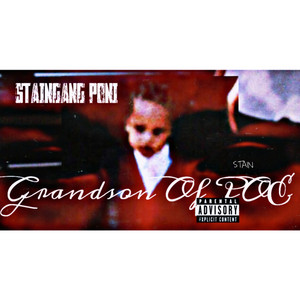 STAINGANG PONI - F**k Ya