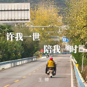 Wang Na - 许我一世 陪我一时