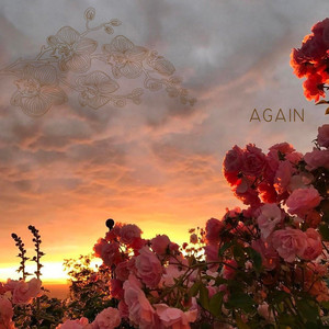 Again by orchd, Rouxo