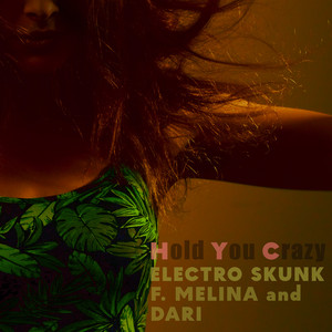 Hold You Crazy - Remix by Electro Skunk
