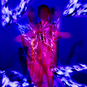 Red & Blue (Metamorphosilver Butterfly)