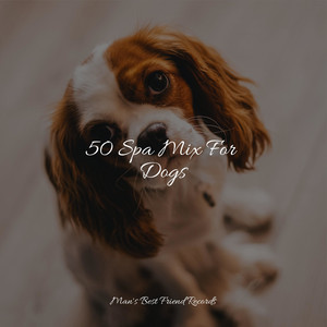 50 Spa Mix For Dogs album