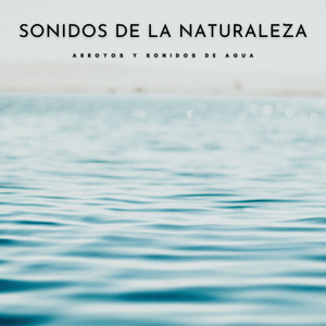 Sonidos De La Naturaleza: Arroyos y Sonidos De Agua album