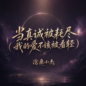 当真诚被耗尽 - 我的爱不该被看轻 by 沧桑小杰