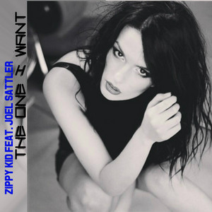 The One I Want (feat. Joel Sattler)