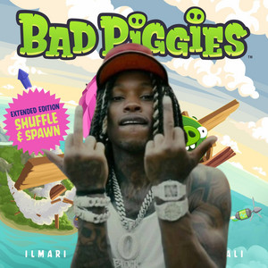 Crazy Story X Bad Piggies by degen