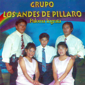 Grupo Los Andes de Pillaro - Tormentos