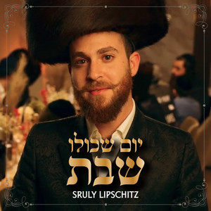 יום שכולו שבת by Sruly Lipschitz