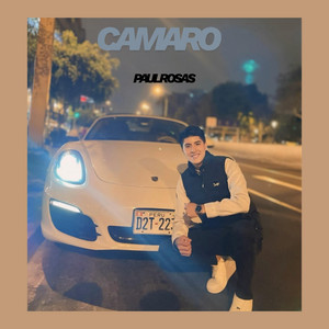 CAMARO by PAULROSAS