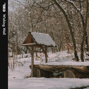 Wishing Well by Ciel