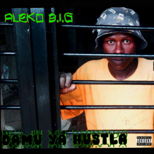 Aleko B.I.G - Ngori (feat. Natty Ting)