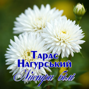 Айстри білі