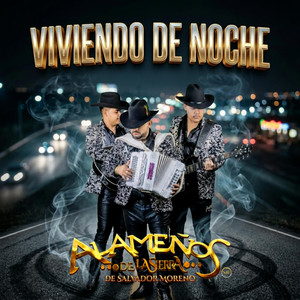 Viviendo de Noche