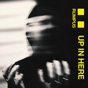 Up In Here by RUMPUS
