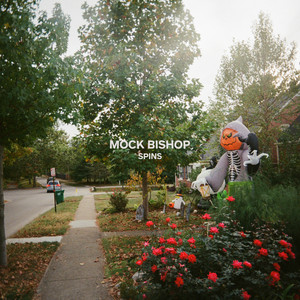 Spins by Mock Bishop