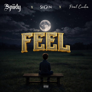 Feel by Spiidy, Musiquesian, Real conka