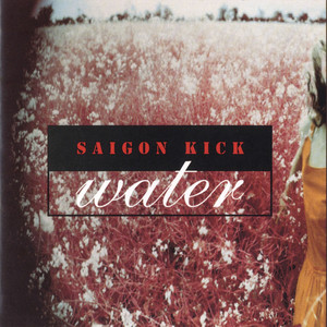 【ボクくん様用】SAIGON KICK / Saigon Kick Totally Vinyl Records || Saigon Kick - Saigon Kick LP
