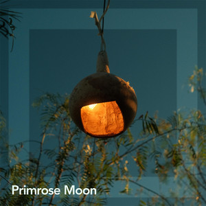 Shared Light by Primrose Moon